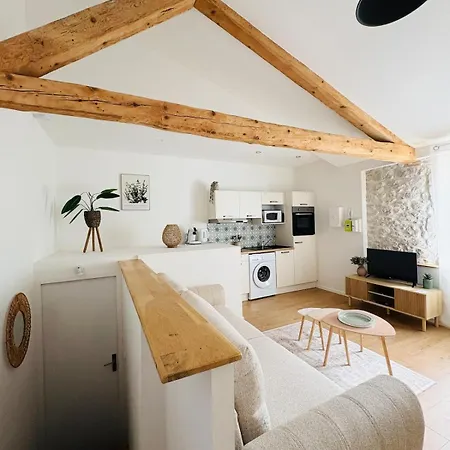 Lejlighed Elegant L Climatise L Proche Place Soult Castres (Tarn)