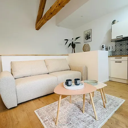 Elegant L Climatise L Proche Place Soult Castres (Tarn)